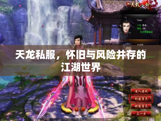 天龙私服，怀旧与风险并存的江湖世界