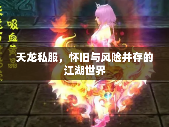 天龙私服，怀旧与风险并存的江湖世界
