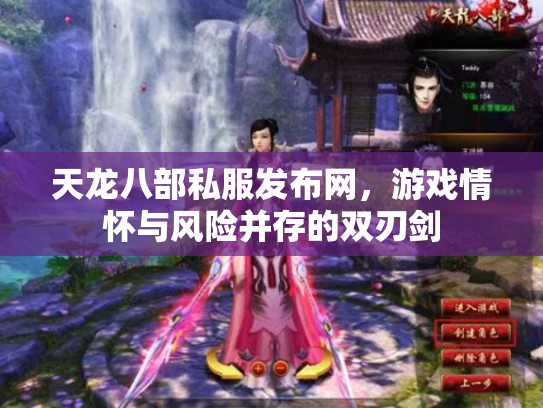 天龙八部私服发布网，游戏情怀与风险并存的双刃剑