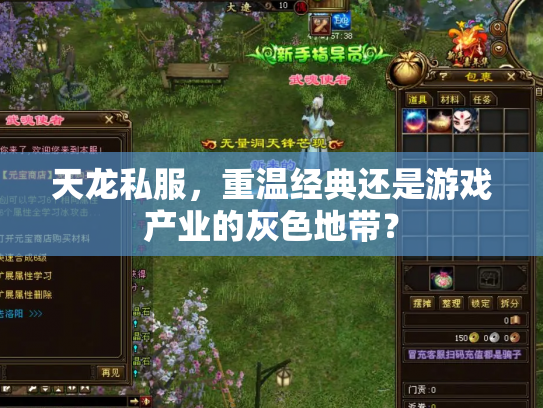 天龙私服，重温经典还是游戏产业的灰色地带？