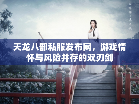 天龙八部私服发布网，游戏情怀与风险并存的双刃剑