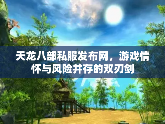 天龙八部私服发布网，游戏情怀与风险并存的双刃剑