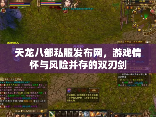 天龙八部私服发布网，游戏情怀与风险并存的双刃剑