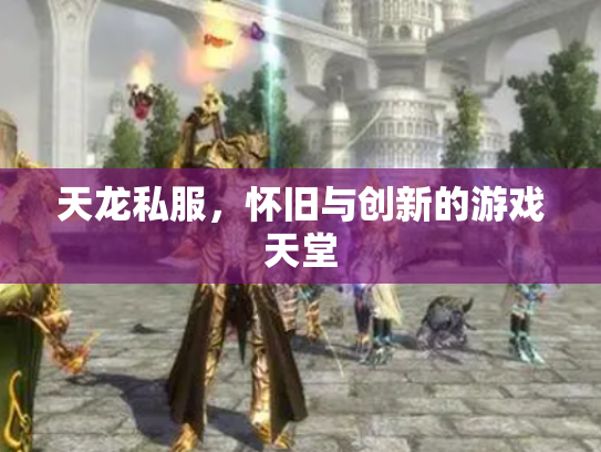 天龙私服，怀旧与创新的游戏天堂