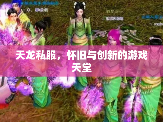 天龙私服，怀旧与创新的游戏天堂