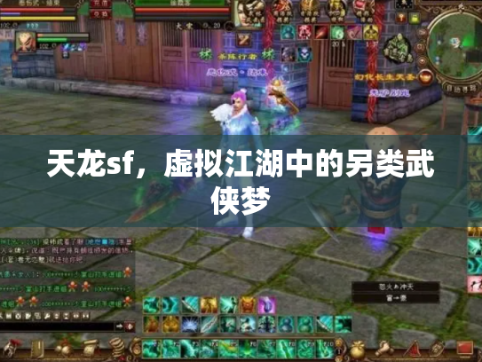 天龙sf，虚拟江湖中的另类武侠梦