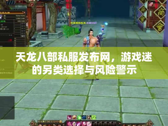 天龙八部私服发布网，游戏迷的另类选择与风险警示