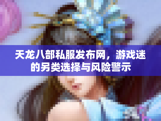 天龙八部私服发布网，游戏迷的另类选择与风险警示