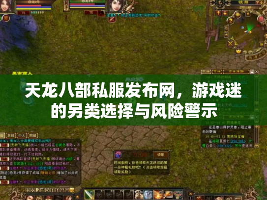 天龙八部私服发布网，游戏迷的另类选择与风险警示