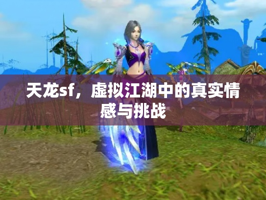 天龙sf，虚拟江湖中的真实情感与挑战