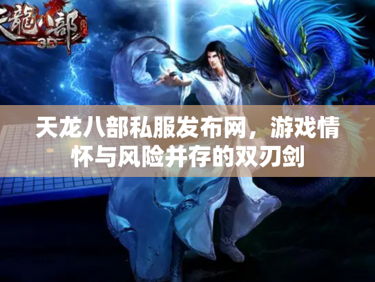 天龙八部私服发布网，游戏情怀与风险并存的双刃剑