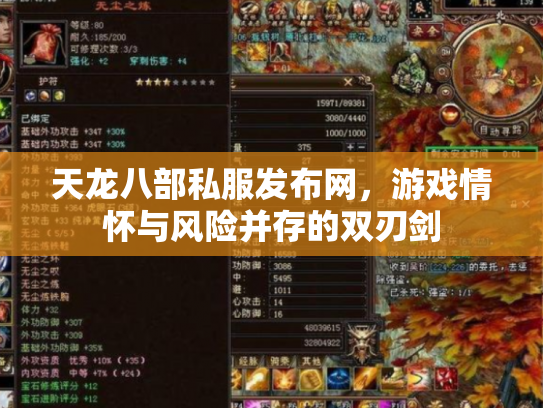天龙八部私服发布网，游戏情怀与风险并存的双刃剑