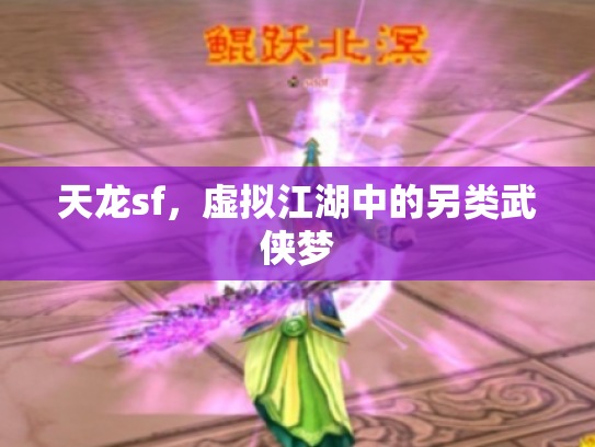 天龙sf，虚拟江湖中的另类武侠梦