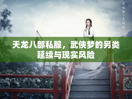 天龙八部私服，武侠梦的另类延续与现实风险
