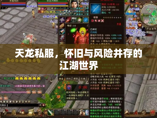 天龙私服，怀旧与风险并存的江湖世界