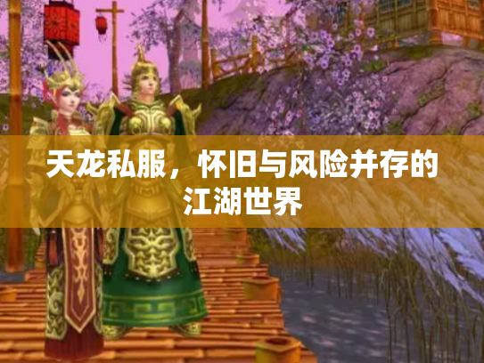天龙私服，怀旧与风险并存的江湖世界