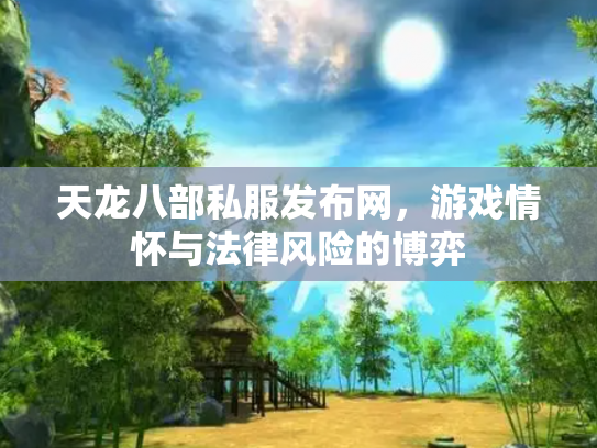 天龙八部私服发布网，游戏情怀与法律风险的博弈