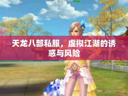 天龙八部私服，虚拟江湖的诱惑与风险