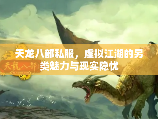 天龙八部私服，虚拟江湖的另类魅力与现实隐忧