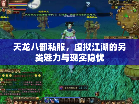天龙八部私服，虚拟江湖的另类魅力与现实隐忧