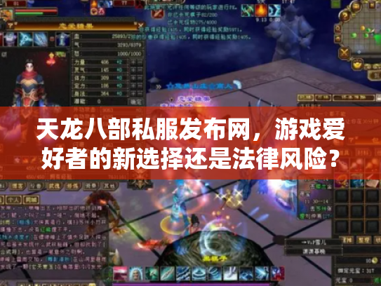 天龙八部私服发布网，游戏爱好者的新选择还是法律风险？