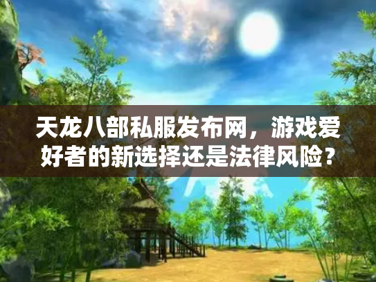 天龙八部私服发布网，游戏爱好者的新选择还是法律风险？