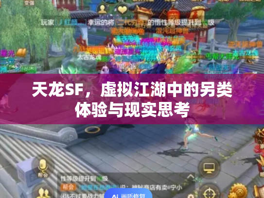 天龙SF，虚拟江湖中的另类体验与现实思考