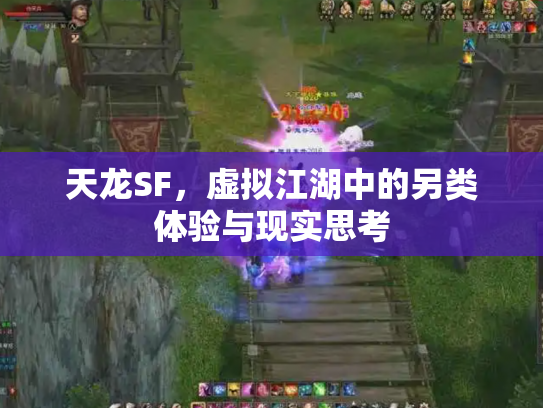 天龙SF，虚拟江湖中的另类体验与现实思考