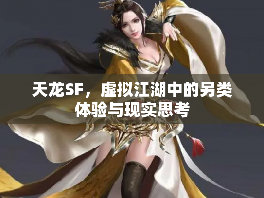 天龙SF，虚拟江湖中的另类体验与现实思考
