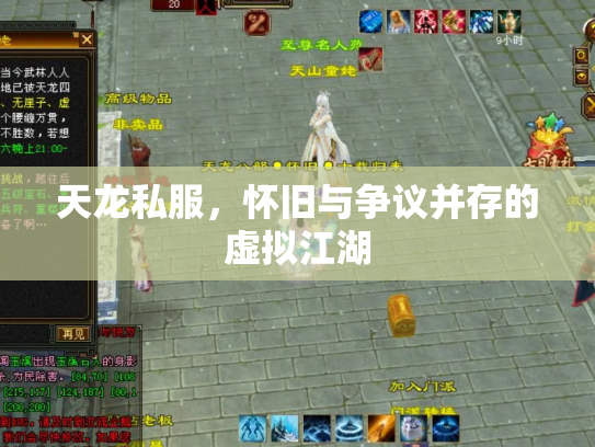 天龙私服，怀旧与争议并存的虚拟江湖