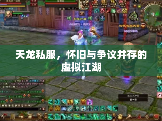 天龙私服，怀旧与争议并存的虚拟江湖