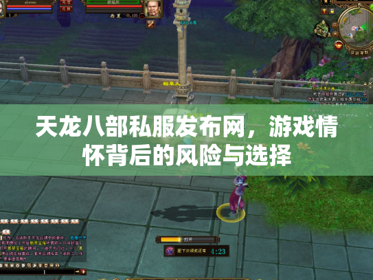 天龙八部私服发布网，游戏情怀背后的风险与选择