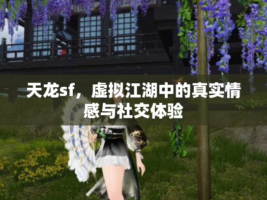 天龙sf，虚拟江湖中的真实情感与社交体验
