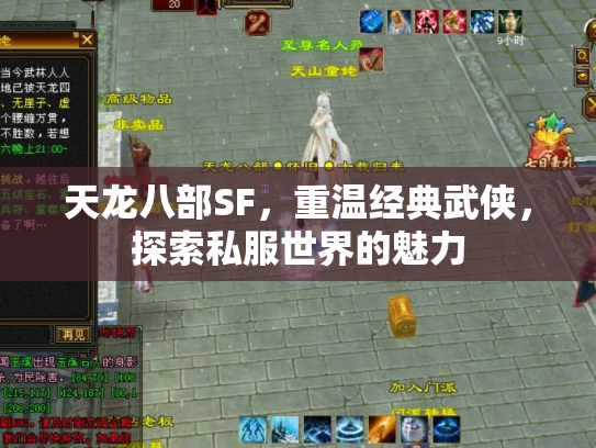 天龙八部SF，重温经典武侠，探索私服世界的魅力