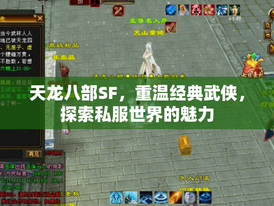 天龙八部SF，重温经典武侠，探索私服世界的魅力