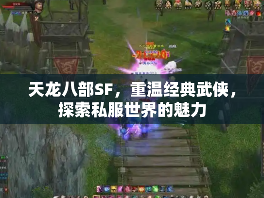 天龙八部SF，重温经典武侠，探索私服世界的魅力