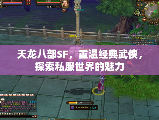 天龙八部SF，重温经典武侠，探索私服世界的魅力