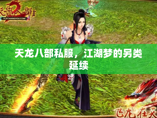 天龙八部私服，江湖梦的另类延续