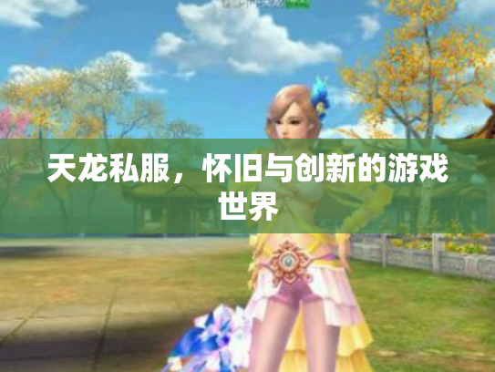 天龙私服，怀旧与创新的游戏世界