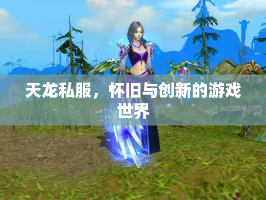 天龙私服，怀旧与创新的游戏世界