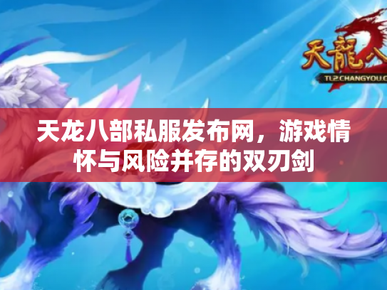 天龙八部私服发布网，游戏情怀与风险并存的双刃剑