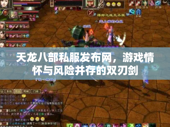 天龙八部私服发布网，游戏情怀与风险并存的双刃剑