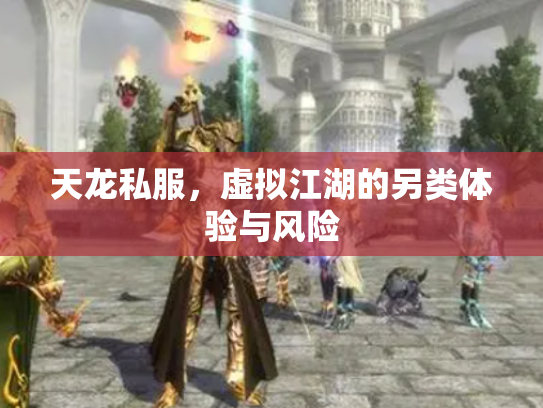 天龙私服，虚拟江湖的另类体验与风险