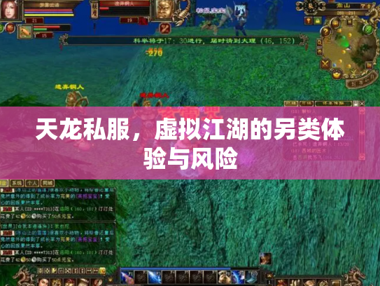 天龙私服，虚拟江湖的另类体验与风险