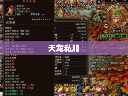天龙私服