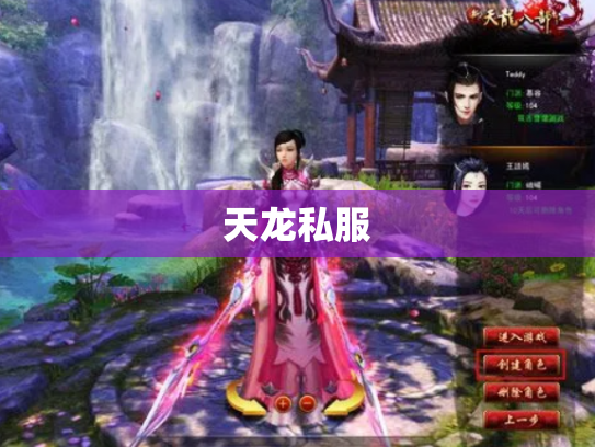 天龙私服