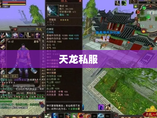 天龙私服