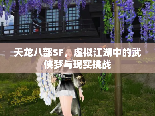 天龙八部SF，虚拟江湖中的武侠梦与现实挑战