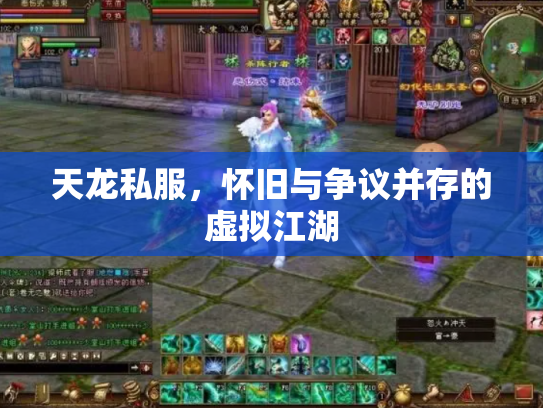 天龙私服，怀旧与争议并存的虚拟江湖