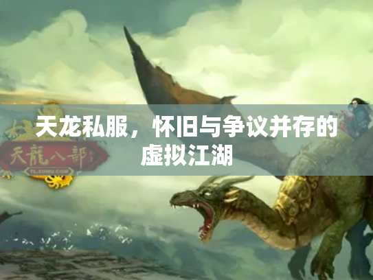 天龙私服，怀旧与争议并存的虚拟江湖